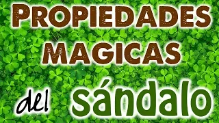 PROPIEDADES MÁGICAS del SÁNDALO 🌱✨ RECETAS EFECTIVAS para LIMPIAR, PROTEGER y DESBLOQUEAR 💥✨