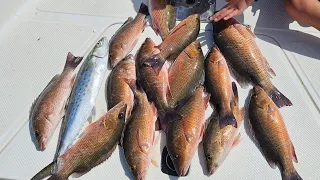 fishing in gandy bridge