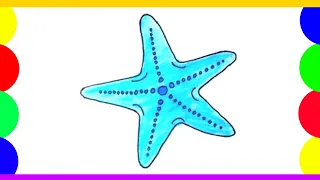 How to draw a starfish easy step by step