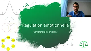 Comprendre les émotions (Thérapie Comportementale Dialectique - Régulation émotionnelle 1/6) © GREMO