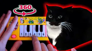 Maxwell The Cat / 1$ yellow piano but it's 360° VR