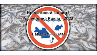 Запрет в Республике Крым 2022