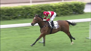 JOAO MOREIRA Canter-ino JUMBO LUCK