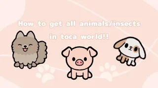🎀 Every animals/insects location in toca life world! 🐾 (paid version) || Tutorial