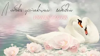 The Love of tired swans violin cover • Violinista en Acapulco