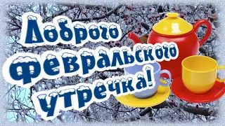 Доброго февральского утречка! Отличного денечка!