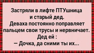 Как ПТУшница и Старый Дед в Лифте Застряли! Сборник Свежих Анекдотов! Юмор! Позитив!