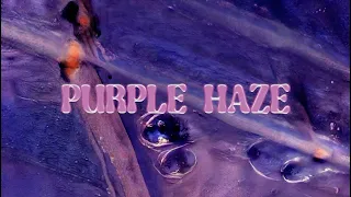 Dachelle - Purple Haze (Lyric Video)