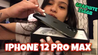 iPhone 12 pro Max Graphite + Cases