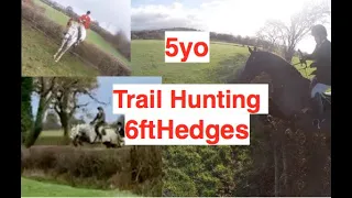 Jumping Massive Hedges on 5yo Horse - Trail Riding | Equestrian