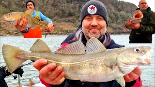 COD FISHING IN THE NORTH YORKSHIRE | CHARTER BOAT FISHING FROM SCARBOROUGH | ON ABOARD REEL IT RYRY