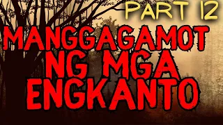 MANG-GAGAMOT NG MGA ENGKANTO Part 12  (ERMITANYO TRUE STORY)