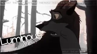 The Wolf | Full MEP