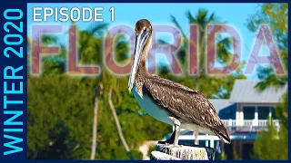 Myakka River State Park and Venice, Florida - Winter 2020 Episode 1