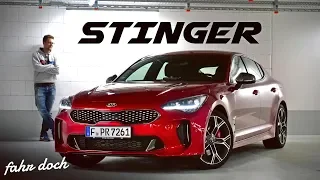 ICH WILL SO EINEN! KIA STINGER GT 2019 | Review und Fahrbericht | Fahr doch