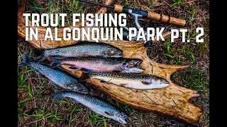 Algonquin Park Spring Brook Trout Fishing with Ted Baird & My Self Reliance Pt. 2