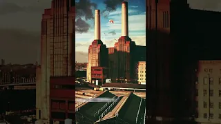 Pink Floyd - Dogs (1977 vs 2018) #pinkfloyd #animals #shorts