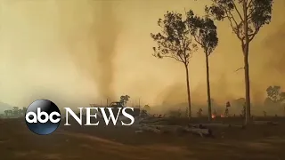Fire tornado spins among Queensland bushfire | ABC News