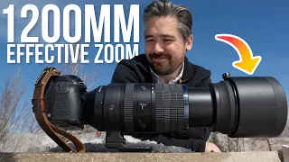 The LONGEST Ever Zoom for Micro Four Thirds! | M.Zuiko Digital ED 150-600mm f/5.0-6.3 IS Lens Review