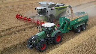 CLAAS LEXION 8700TT am Gerste dreschen / Abfahrer FENDT 828 mit HAWE Überladewagen / 4K