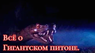 Всё о Гигантском питоне.