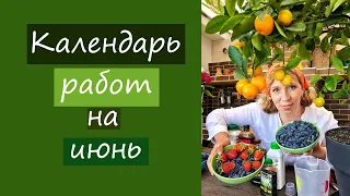 Календарь работ на июнь