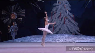 Pyotr Ilyich Tchaikovsky / Nina Kaptsova - Dance Of The Part Of Spinning Sugar Plum Fairy / 2010