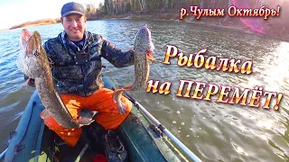 Рыбалка на Перемет - Отличные Трофеи, р.Чулым!