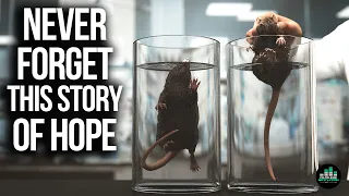 Shocking Rat Experiment Teaches Powerful Life Lesson