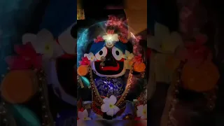 Ahe Nila Saila | Jagannath Lullaby | Jai Jagannath | Whats App status video