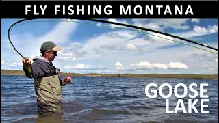 Fly Fishing Montana's Goose Lake-Trailer for Prime Video