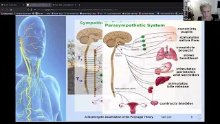 Reshaping the Nervous System: Embodying the Polyvagal Theory. presentation to IIBA conference 2021