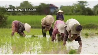 Pope asks for the aid of small farmers in his new prayer intentions video