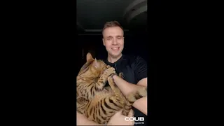 Animals-pets Coub Compilation #11 | Epic Best Hot Rising Compilation | Best Coub | Gifs with sound