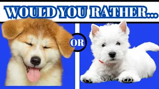 WOULD YOU RATHER PUPPY EDITION