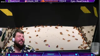 1000 cockroach vs scorpion reaction