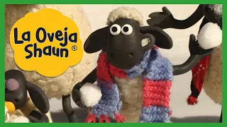 La Gran Nevada - Feliz Navidad, Ovejas | La Oveja Shaun [Shaun the Sheep] Episodio Doble