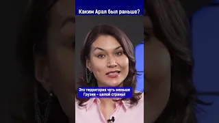 Каким Арал был раньше?