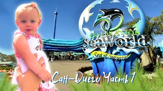 Шоу аттракцион SeaWorld Сан-Диего 2019