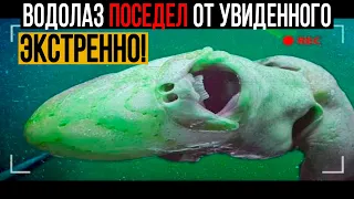 ПОДВОДНИКИ ПОСЕДЕЛИ ОТ УВИДЕННОГО!!! ОНО ЖИВОЕ!!! СТР*ШНО ПОВЕРИТЬ! 23.05.2021 ДОКУМЕНТАЛЬНЫЙ ФИЛЬМ