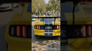 Ford Mustang Crazy Exhaust sound and Burn out 😍 / Supercars in India #supercars #shorts