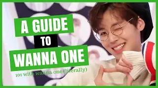 A Very Unhelpful Guide to WANNA ONE