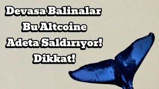 Devasa Balinalar Bu Altcoine Adeta Saldırıyor! Dikkat! | Kripto Haber.