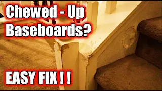 How to Repair Damaged Baseboards | DIY Repair Damaged Trim | Fix Pet Damage | Dog Chewed Trim Repair