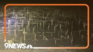 Severe storms leave flooded fields near Yuma, Colorado