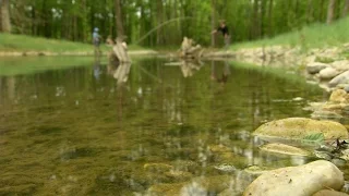 Man Made Trout Stream Opens