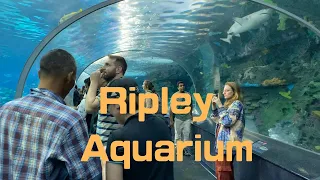 Ripley's Aquarium of Canada - detail tour