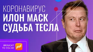 Как Коронавирус Влияет На Акции Тесла. Илон Маск Опять Взрывает Твиттер