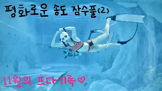 프린이 부부의 11월 프리다이빙 기록 (2) : CWT, 다이나믹 턴, 노핀 연습