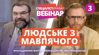 СПЕЦІАЛІСТичний Вебінар з Сергієм Головіним. #3 Антропогенез І Філософський камінь